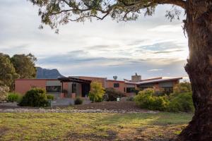 霍尔斯加普梅瑞佳斯普林斯度假村的前面有一棵树的建筑物