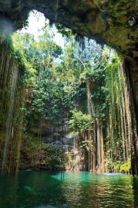 a pool of water in a forest with trees at Alila Mayakoba in Playa del Carmen