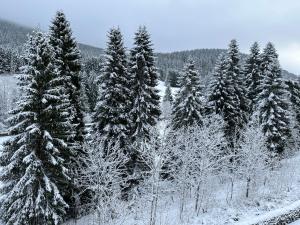 Το Alte Försterei Wildenthal τον χειμώνα