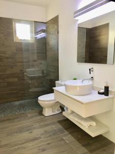 Villa Mariposa Ocean Front Mansion with Infinity Pool في غانيكا: حمام مع حوض ومرحاض ومرآة