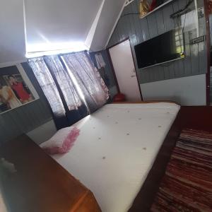 TV a/nebo společenská místnost v ubytování Dhamcho homestay