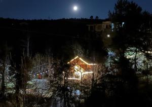 a house with christmas lights on it at night at Bawli Treehouse in Jibhi