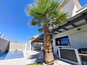 een palmboom voor een huis met een zwembad bij Villa Corni in Granada