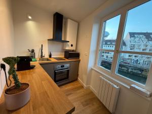 Kuchyň nebo kuchyňský kout v ubytování L'Ecrin de la Petite France