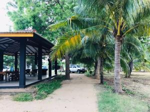 two palm trees next to a pavilion with a car at Wewlekam Safari Resort 