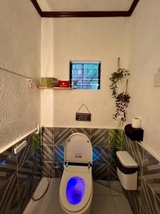 een badkamer met een toilet met een blauw licht bij Palm Haven w Starlink in Siquijor