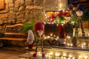 Fotografie z fotogalerie ubytování Apartments Roža v destinaci Roč