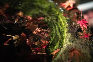 a close up of a glass vase with leaves on it at Bessou Konjakuan in Yufu +101 photos