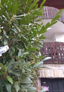 un cespuglio verde accanto a un edificio con un tetto di Hotel Balduin - Natur & Flussblick a Balduinstein