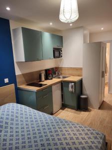 Η κουζίνα ή μικρή κουζίνα στο Studio Aix-les-Bains