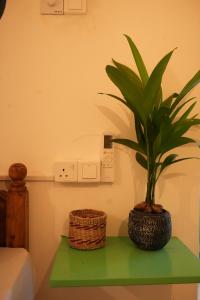 Ảnh trong thư viện ảnh của Nirvana Hiri ở Dodampahala East