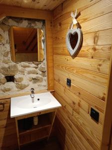 a bathroom with a sink and a mirror at Chambre Tarentaise chez les garçons in Saint-Paul-sur-Yenne