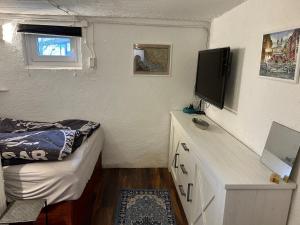 Μια τηλεόραση ή/και κέντρο ψυχαγωγίας στο Apartment mit Sauna und Terrasse