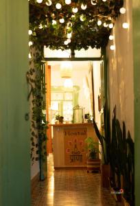 an entrance to a room with a table with lights at Hostal Prana in Abejorral +119 photos
