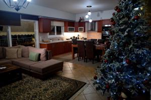 Η κουζίνα ή μικρή κουζίνα στο Viewpoint apartment chalkis