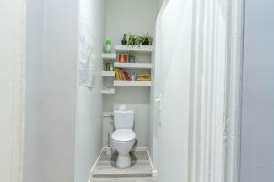 Le Barthou - T3 lumineux en centre-ville de Pau في بو: حمام مع مرحاض وستارة دش