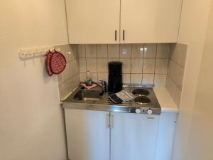 a kitchen with a sink and a counter top at Schwanensee App 04 in Göhren