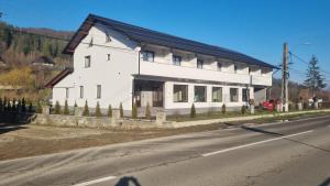 a white house on the side of a road at Pensiunea ALDA in Suceviţa