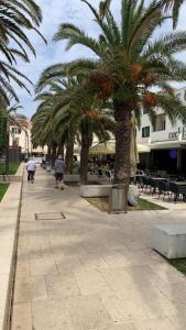 Nabolaget omkring lejlighedshotellet eller i nærheden