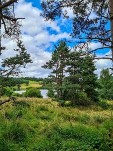 Φυσικό τοπίο κοντά σε αυτό το bed & breakfast