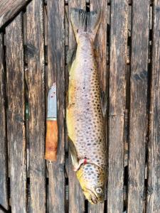 un pesce seduto in cima a una staccionata di legno di Øyungen 2 a Namsos