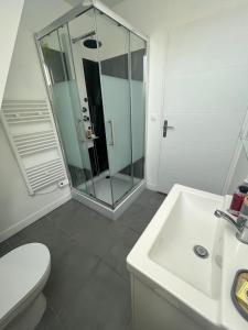 a bathroom with a shower and a toilet and a sink at Magnifique logement indépendant avec sa place de parking in La Celle-sous-Gouzon