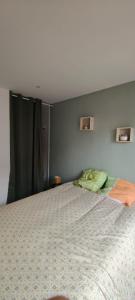 a bedroom with a large bed in a room at Le Derroja - Perpignan in Perpignan