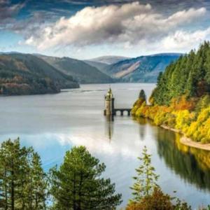 ein Gemälde eines Sees mit einer Brücke und Bäumen in der Unterkunft Wild Valley Bunkhouse in Llanrhaeadr-ym-Mochnant