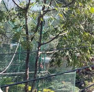 Φωτογραφία από το άλμπουμ του Bhimalaya σε Patan