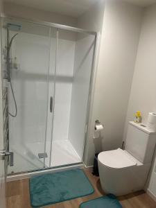 a bathroom with a shower with a toilet and a rug at Double Bedroom in Newly Built Townhouse in Wallaceville