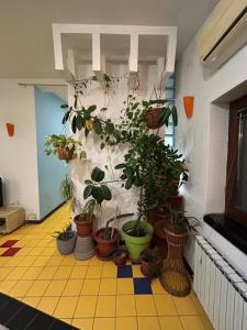 En have udenfor ThreeSixty