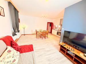 TV a/nebo společenská místnost v ubytování Le Charmant Refuge au Cœur de Rouffach