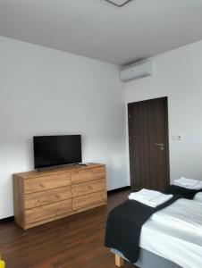 ein Schlafzimmer mit einem Bett und einem Fernseher auf einer Kommode in der Unterkunft Nowoczesne Apartamenty Stare Miasto in Częstochowa