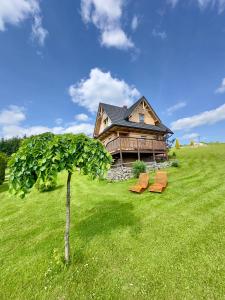 a log cabin with two chairs and a tree at Pocztówka z Mizernej, drewniane domki, widok na Tatry, blisko Velo Czorsztyn, Jezioro Czorsztyńskie, rowery, spokojna okolica in Kluszkowce