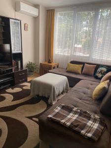 a living room with a couch and a tv at Angenellyq apartment in Kyustendil