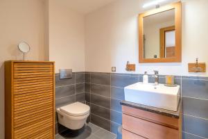 a bathroom with a toilet and a sink and a mirror at ORTA Chalet in Les Gets +18 photos