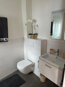 a white bathroom with a toilet and a sink at Kleines aber feines Studio in Zuoz
