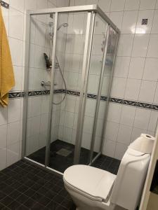a bathroom with a shower and a toilet at Gamle bygdevei 198b in Oslo
