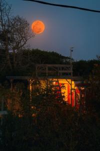 Billede fra billedgalleriet på Luna roja i Punta Del Diablo