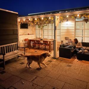 Budget Private Room Near Zoutelande Beach في زوتلاند: كلب يمشي أمام شرفة مع الناس +24 صورة