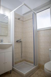 a bathroom with a shower and a toilet and a sink at Fotis House 3 in Afantou