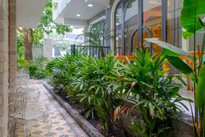 Κήπος έξω από το An Lac Saigon Airport Apartment for week and month stay