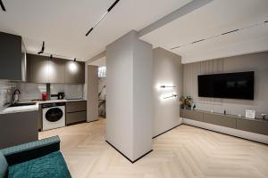 基希讷乌Urban Elegance的带沙发的大客厅和厨房