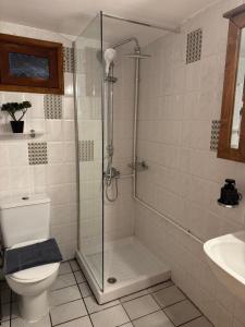 Un baño con ducha, inodoro y lavabo. en Hygge House, en Arachova 14 fotos más