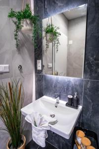 Φωτογραφία από το άλμπουμ του Sweet Embrace σε Komárov