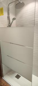 een glazen douche met een kraan in de badkamer bij Pilatos in Zamora +14 foto's