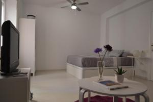 una sala de estar con TV y una mesa con un jarrón. en Minimal Apartamentos, en Tudela