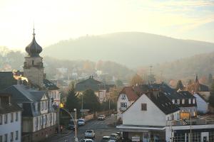 Общий вид на горы или вид на горы из апартаментов/квартиры