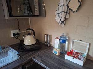 a counter top with a tea kettle and a blender at 5Viooltjie in Riversdale