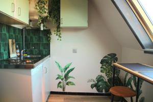 Afbeelding uit fotogalerij van L'Atelier des Tropiques in Saverne